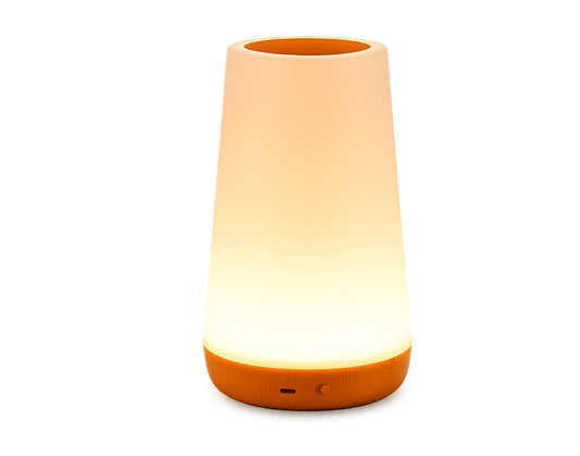 portable table night lamp