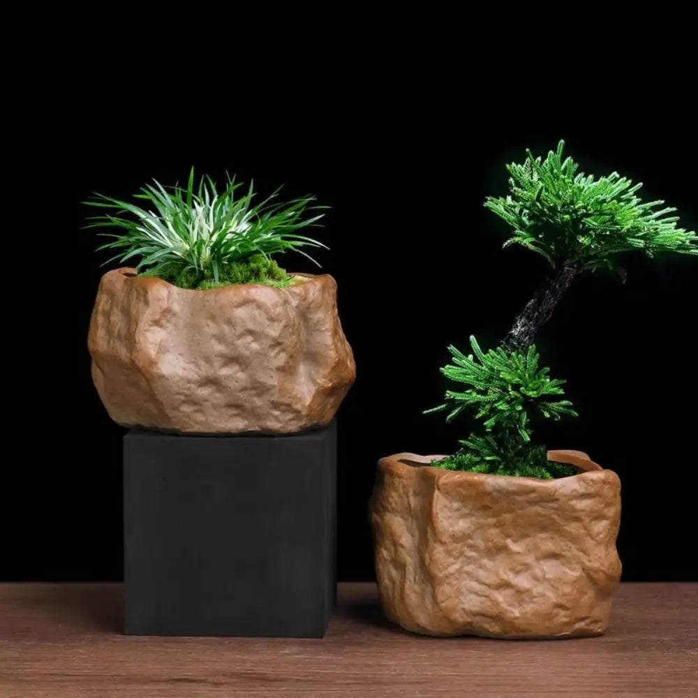 Ceramic Succulent Plant Pots Stone Shape with Drainage Hole Plants Growing Container Wear Resistant Plant Flower Pot