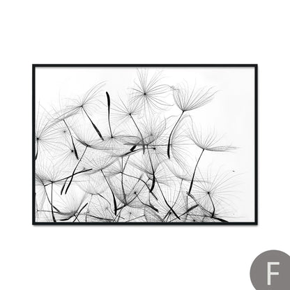 Dandelion Flower Black and White Decorative Canvas Art Print Poster Nordic Modern Painting Wall Elegant Picture for Living Room