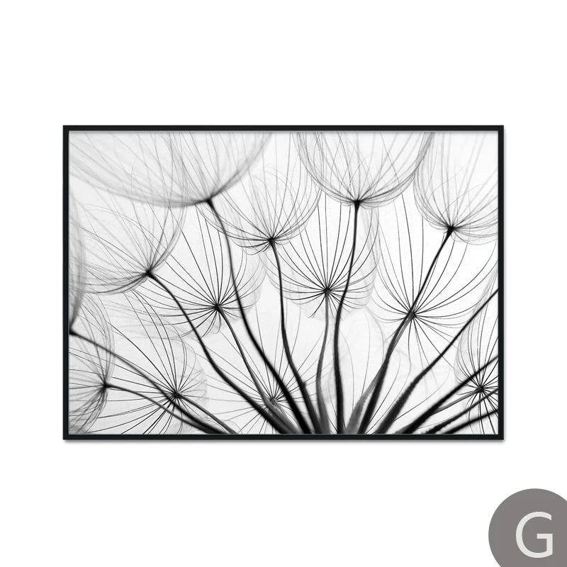 Dandelion Flower Black and White Decorative Canvas Art Print Poster Nordic Modern Painting Wall Elegant Picture for Living Room
