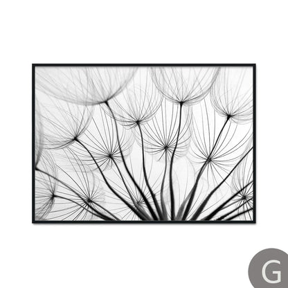 Dandelion Flower Black and White Decorative Canvas Art Print Poster Nordic Modern Painting Wall Elegant Picture for Living Room